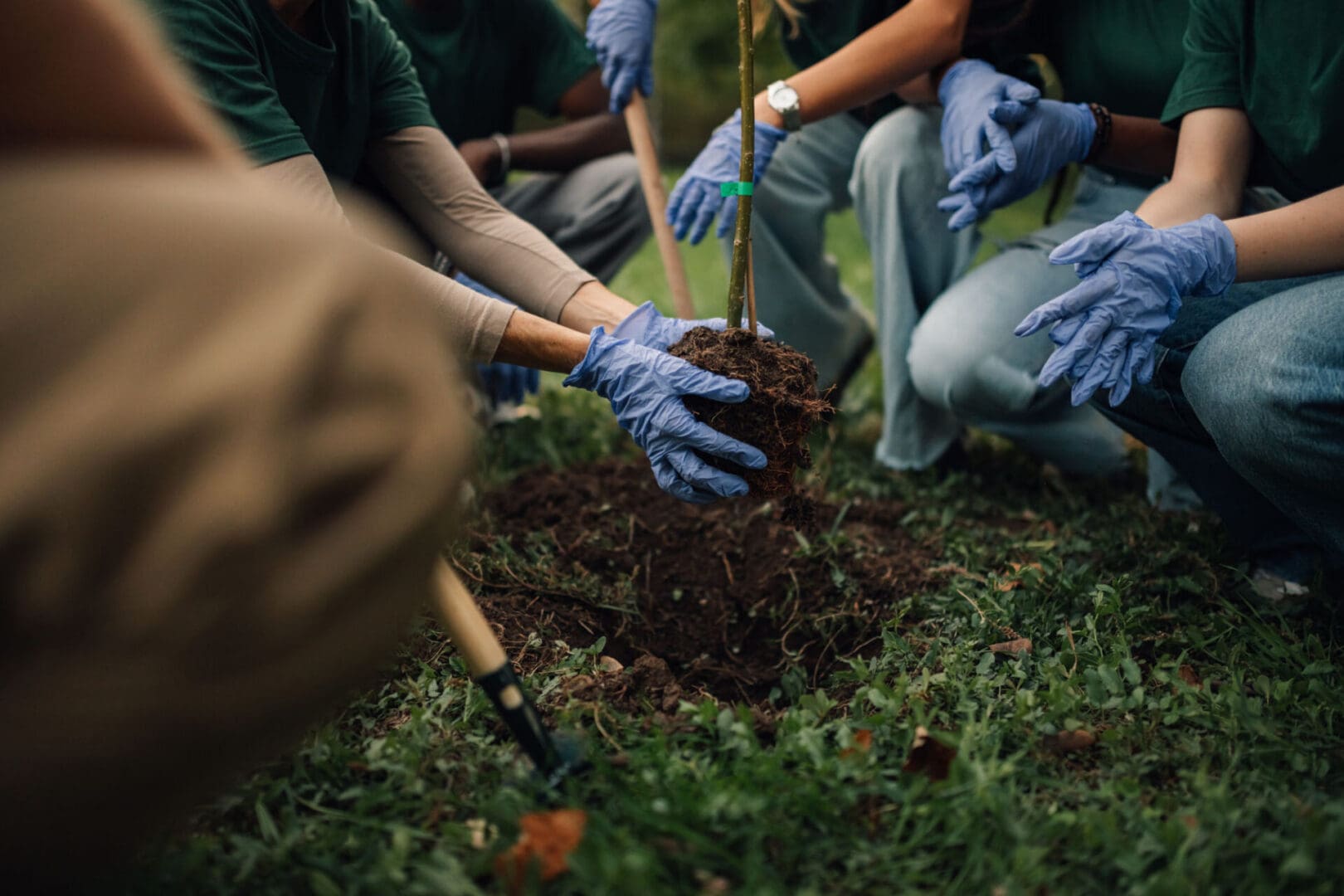 People planting a tree wearing blue gloves.