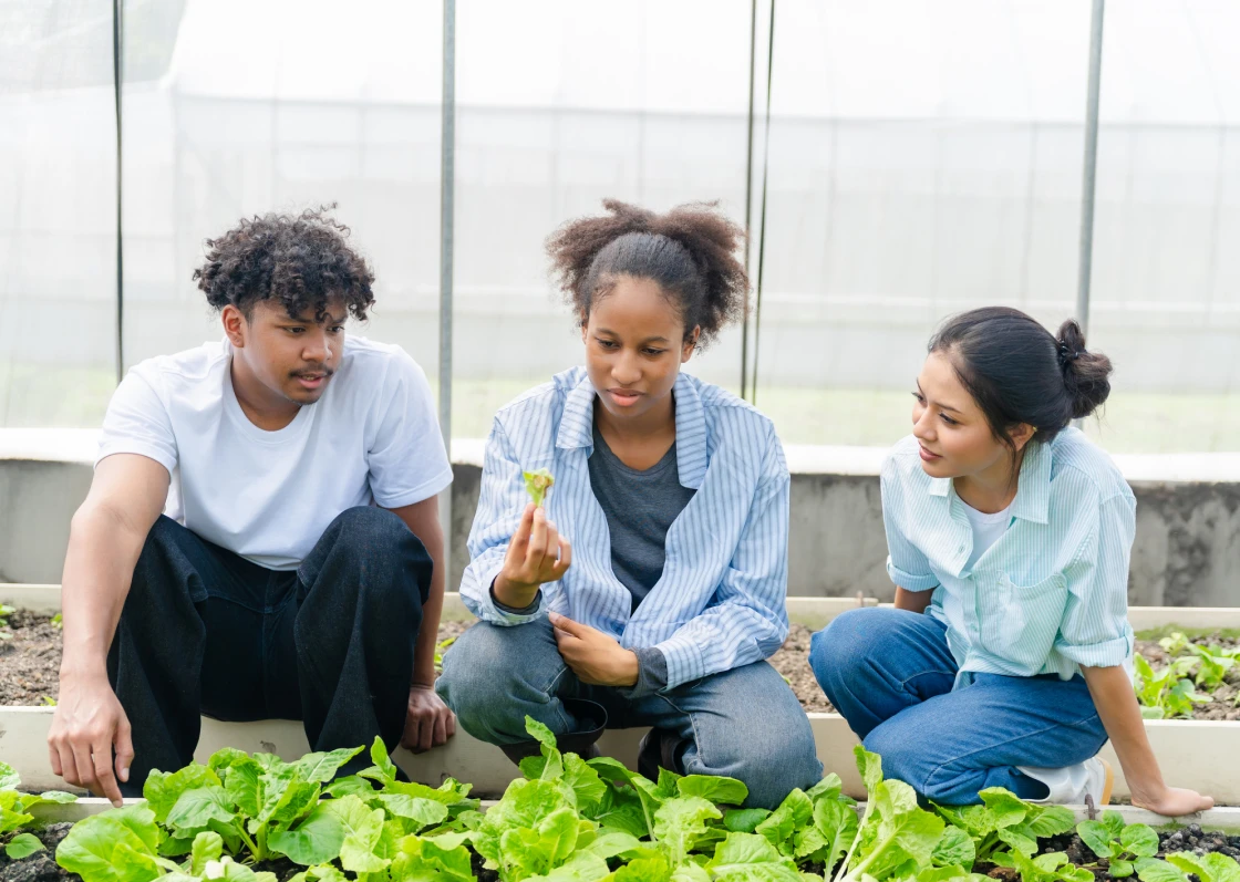 People examining plants in a greenhouse.