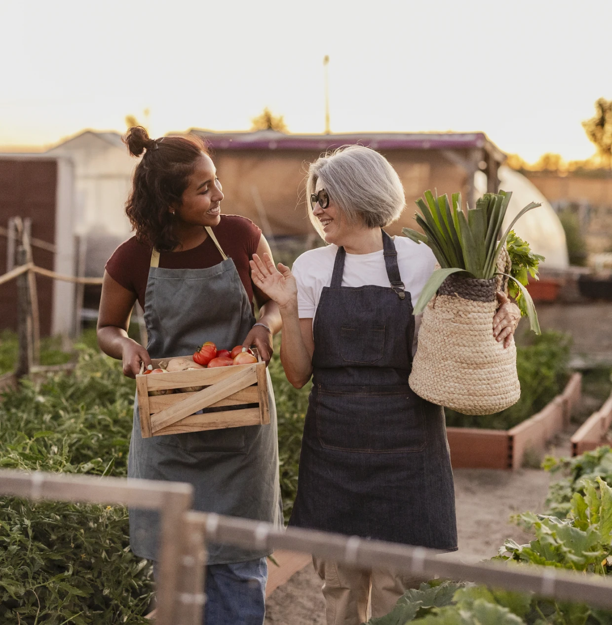 Two women gardening and carrying vegetables together.