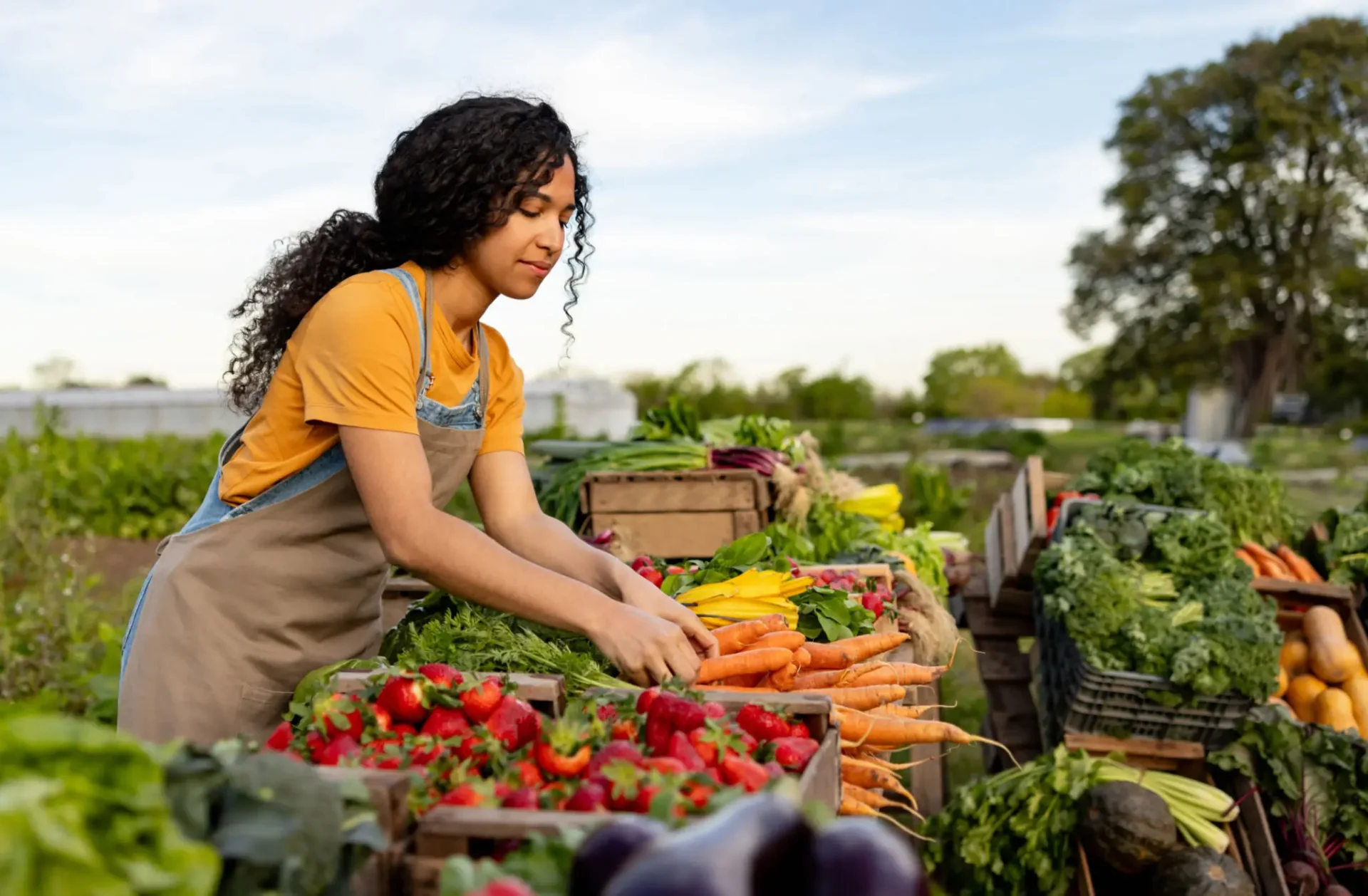Woman arranging carrots at farmers market stall